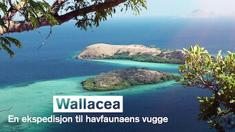 Wallacea: En ekspedisjon til havfaunaens vugge (2007)